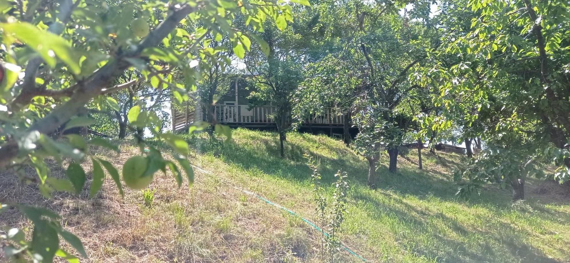 Mesxta Nakalakevi Exterior foto
